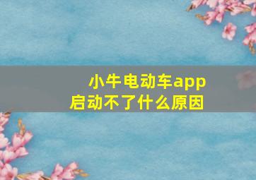 小牛电动车app启动不了什么原因