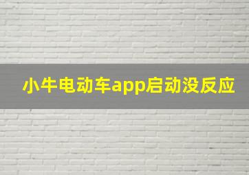 小牛电动车app启动没反应