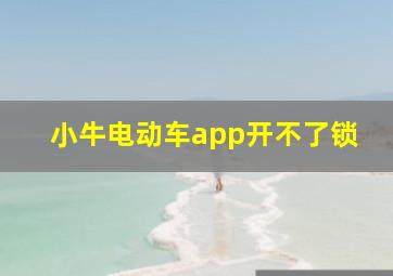 小牛电动车app开不了锁