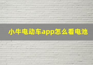 小牛电动车app怎么看电池