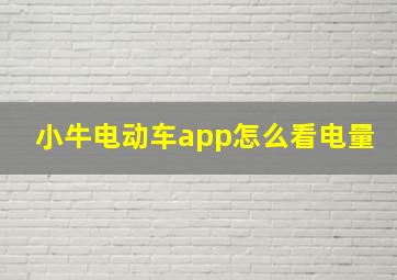 小牛电动车app怎么看电量