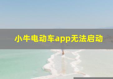 小牛电动车app无法启动