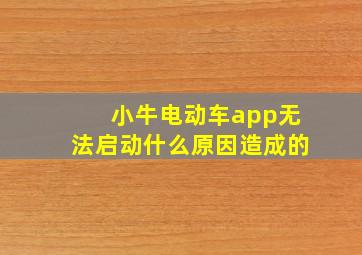 小牛电动车app无法启动什么原因造成的