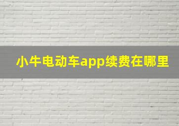 小牛电动车app续费在哪里