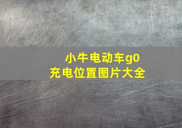 小牛电动车g0充电位置图片大全