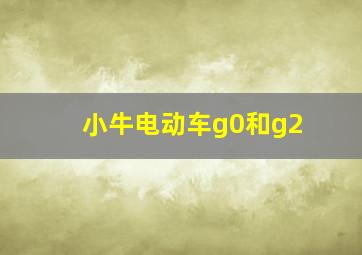 小牛电动车g0和g2