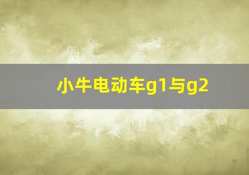 小牛电动车g1与g2