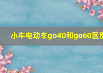 小牛电动车go40和go60区别