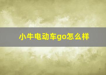 小牛电动车go怎么样