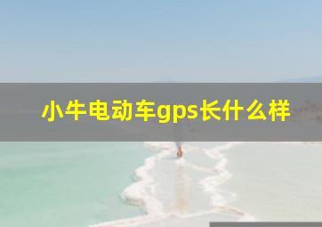 小牛电动车gps长什么样