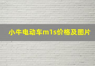 小牛电动车m1s价格及图片