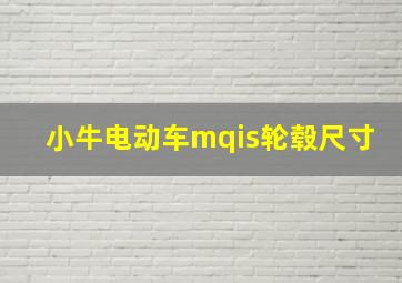 小牛电动车mqis轮毂尺寸