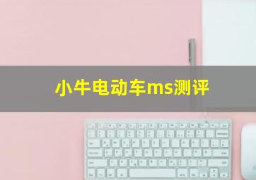 小牛电动车ms测评