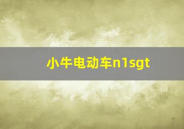 小牛电动车n1sgt