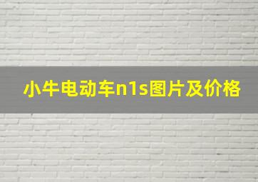 小牛电动车n1s图片及价格