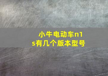 小牛电动车n1s有几个版本型号