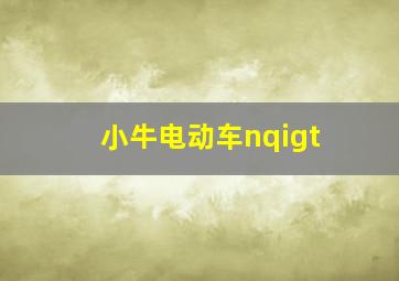 小牛电动车nqigt