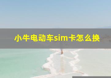 小牛电动车sim卡怎么换