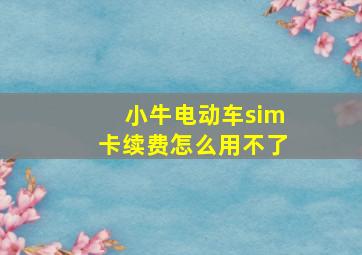 小牛电动车sim卡续费怎么用不了