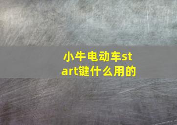 小牛电动车start键什么用的