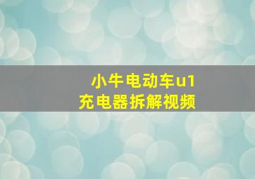 小牛电动车u1充电器拆解视频