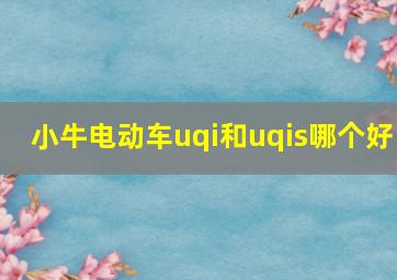 小牛电动车uqi和uqis哪个好