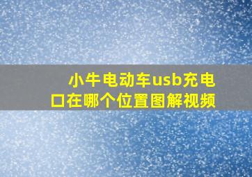 小牛电动车usb充电口在哪个位置图解视频