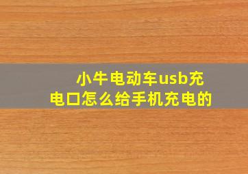 小牛电动车usb充电口怎么给手机充电的