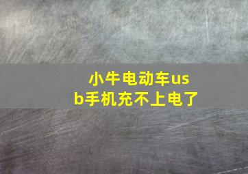 小牛电动车usb手机充不上电了