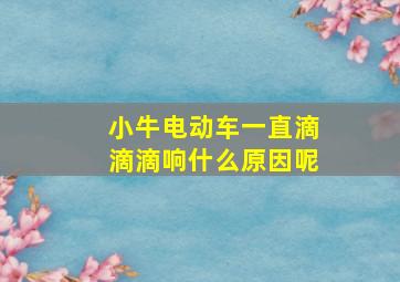 小牛电动车一直滴滴滴响什么原因呢