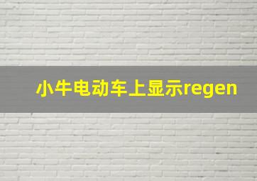 小牛电动车上显示regen