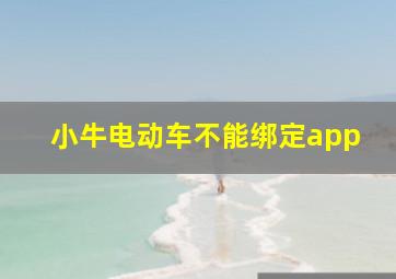 小牛电动车不能绑定app