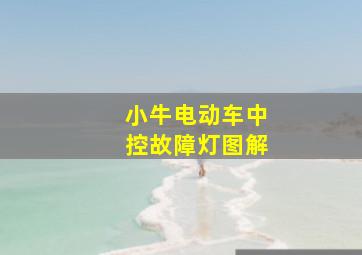 小牛电动车中控故障灯图解