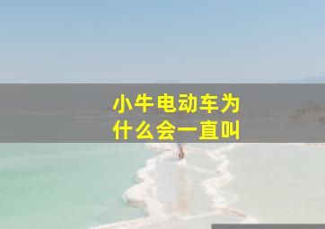 小牛电动车为什么会一直叫