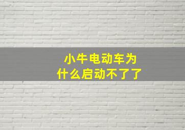 小牛电动车为什么启动不了了