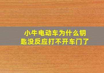 小牛电动车为什么钥匙没反应打不开车门了