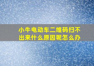 小牛电动车二维码扫不出来什么原因呢怎么办