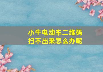 小牛电动车二维码扫不出来怎么办呢