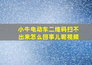 小牛电动车二维码扫不出来怎么回事儿呢视频