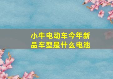 小牛电动车今年新品车型是什么电池