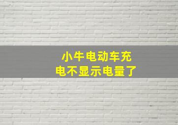 小牛电动车充电不显示电量了