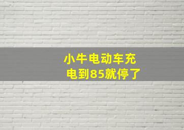 小牛电动车充电到85就停了