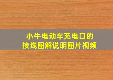 小牛电动车充电口的接线图解说明图片视频