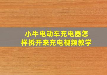 小牛电动车充电器怎样拆开来充电视频教学