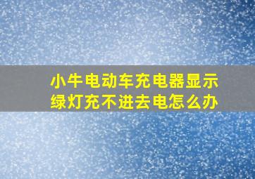 小牛电动车充电器显示绿灯充不进去电怎么办