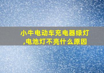 小牛电动车充电器绿灯,电池灯不亮什么原因