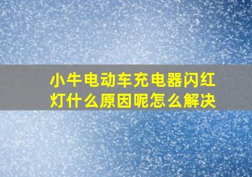 小牛电动车充电器闪红灯什么原因呢怎么解决