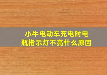 小牛电动车充电时电瓶指示灯不亮什么原因