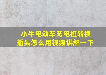 小牛电动车充电桩转换插头怎么用视频讲解一下