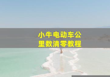 小牛电动车公里数清零教程